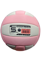 Volley Ball Leikesi