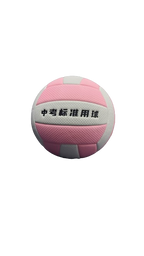 Volley Ball Leikesi