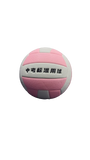 Volley Ball Leikesi