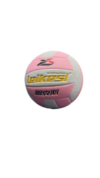 Volley Ball Leikesi