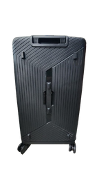Luggage 25"