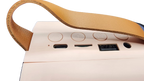 KTV Bluetooth Speaker Karaoke Set