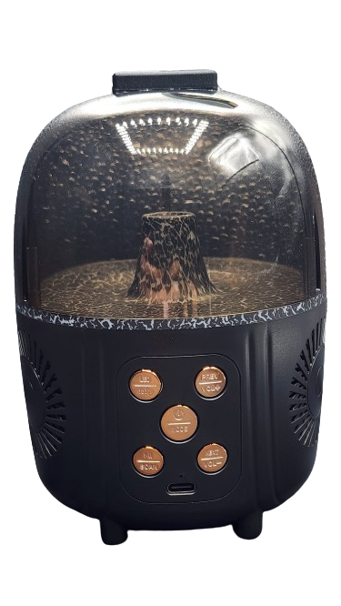 Bluetooth KTV Speaker Assorted Secondary image