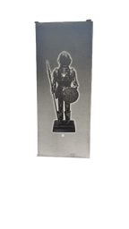 Metal Knight Display