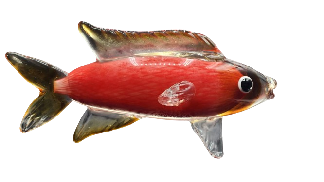 Glass Carp Fish Secondary image
