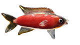 Glass Carp Fish