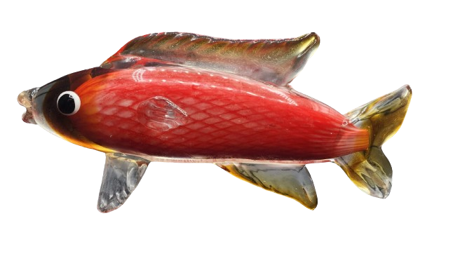Glass Carp Fish Main image