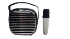 KTV Speaker