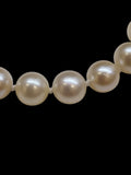 Pearl Necklace And Bracelet