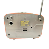 Bluetooth Speaker