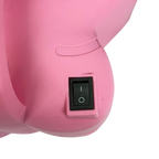 Electric Air Pump