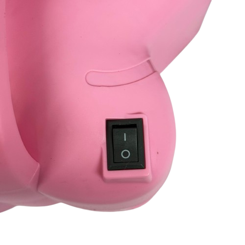 Electric Air Pump