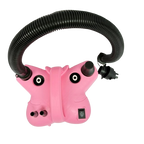 Electric Air Pump