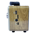Bluetooth Speaker