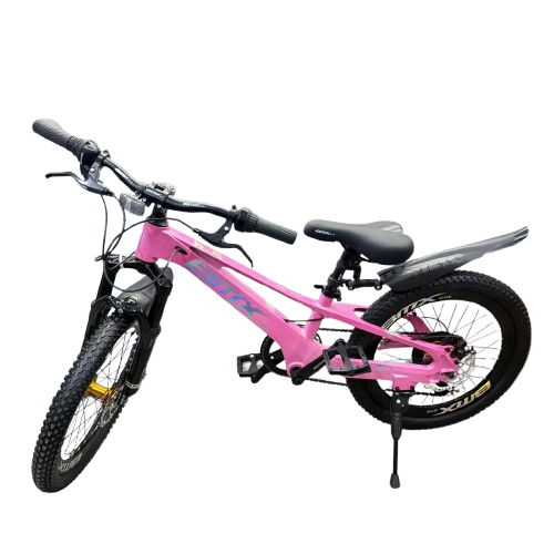 Mountain Bike-20in/BMX