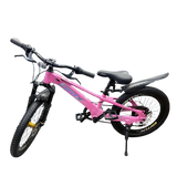 Mountain Bike-20in/BMX