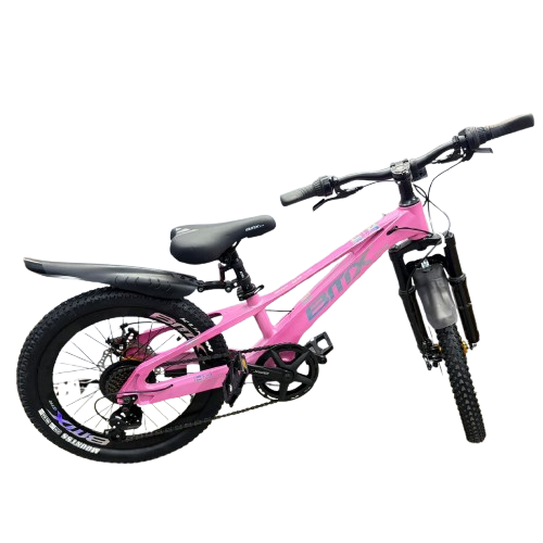 Mountain Bike-20in/BMX