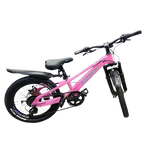 Mountain Bike-20in/BMX
