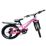 Mountain Bike-20in/BMX