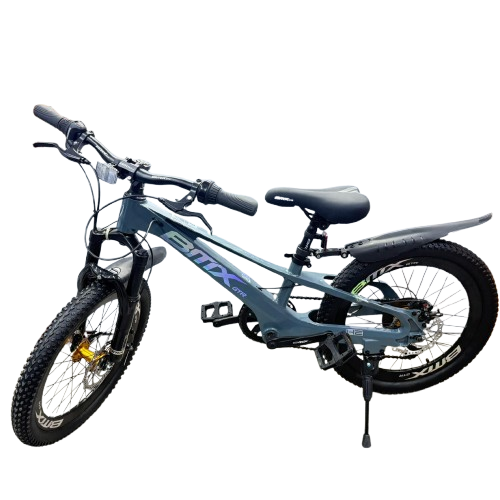 Mountain Bike-20in/BMX