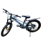 Mountain Bike-20in/BMX