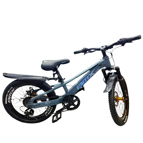 Mountain Bike-20in/BMX