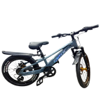 Mountain Bike-20in/BMX