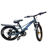 Mountain Bike-20in/BMX