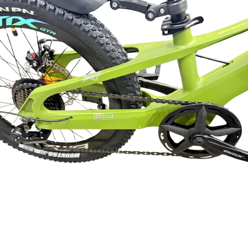 Mountain Bike-20in/BMX