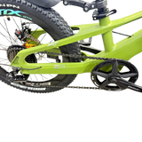 Mountain Bike-20in/BMX