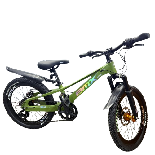 Mountain Bike-20in/BMX