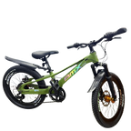 Mountain Bike-20in/BMX