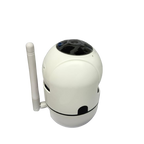 IP Camera-Single Lens