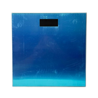 Bathroom Scale-Stainless Steel