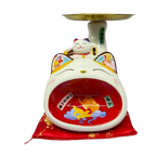 Fortune Cat Coin Bank With Plate