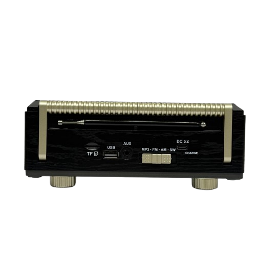 Bluetooth Speaker