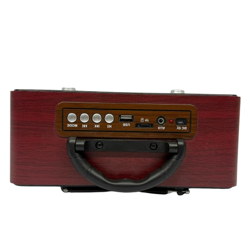 Bluetooth Speaker