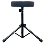 Music Stool