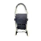Shopping Trolley with Seat
