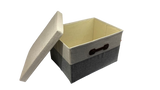 Storage Bin W Cover 40X30X25 2Col