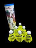 Shuttlecock – Plastic, 6-Pack (HJ M190)