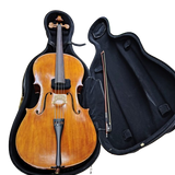 Synwin Cello 4/4 C442001