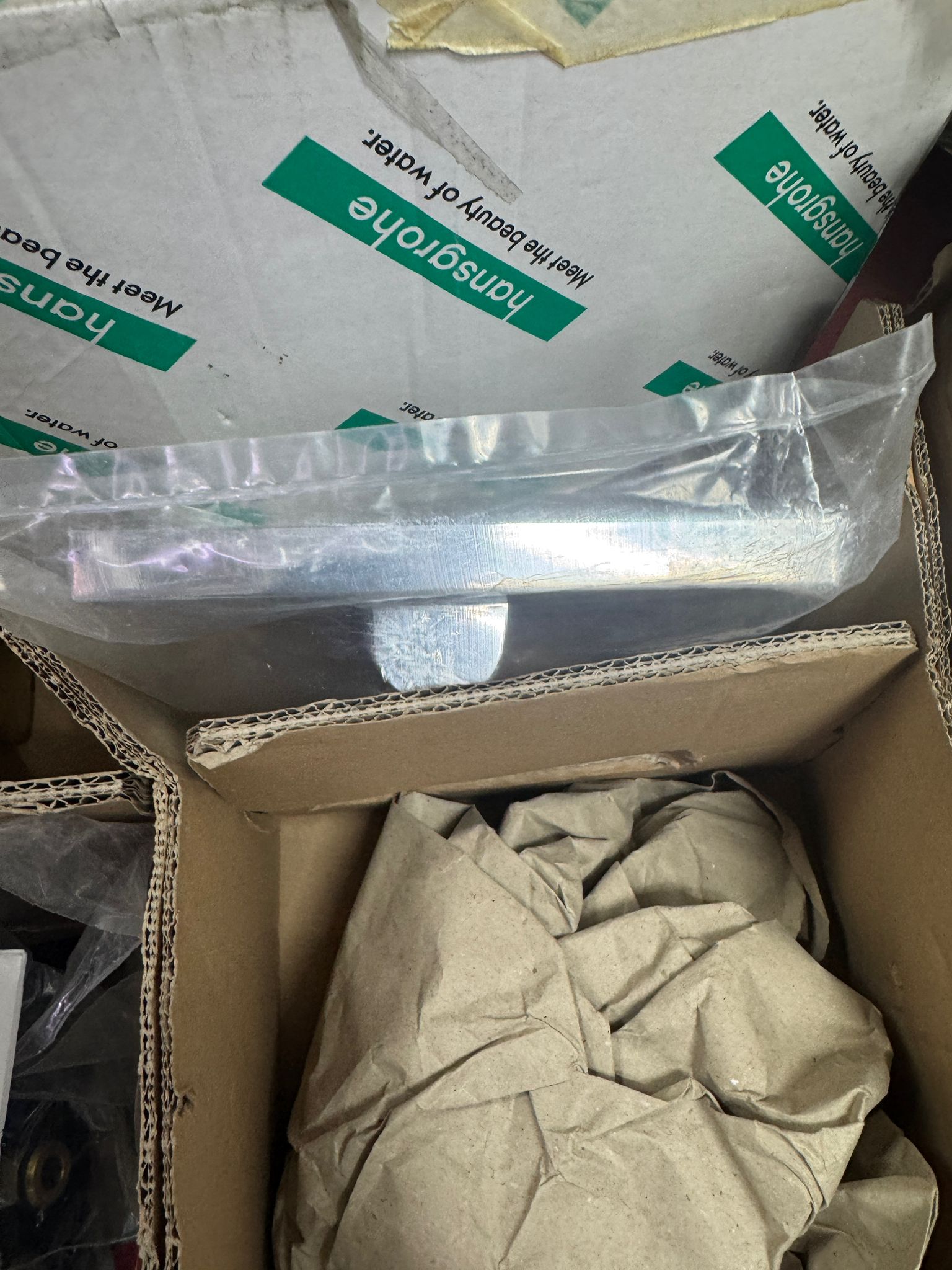 Hansgrohe  23235671 Showerhead-3 Spray Stainless Steel