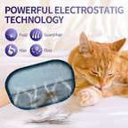 Pet Hair Removal Glove - Pretty Gril
