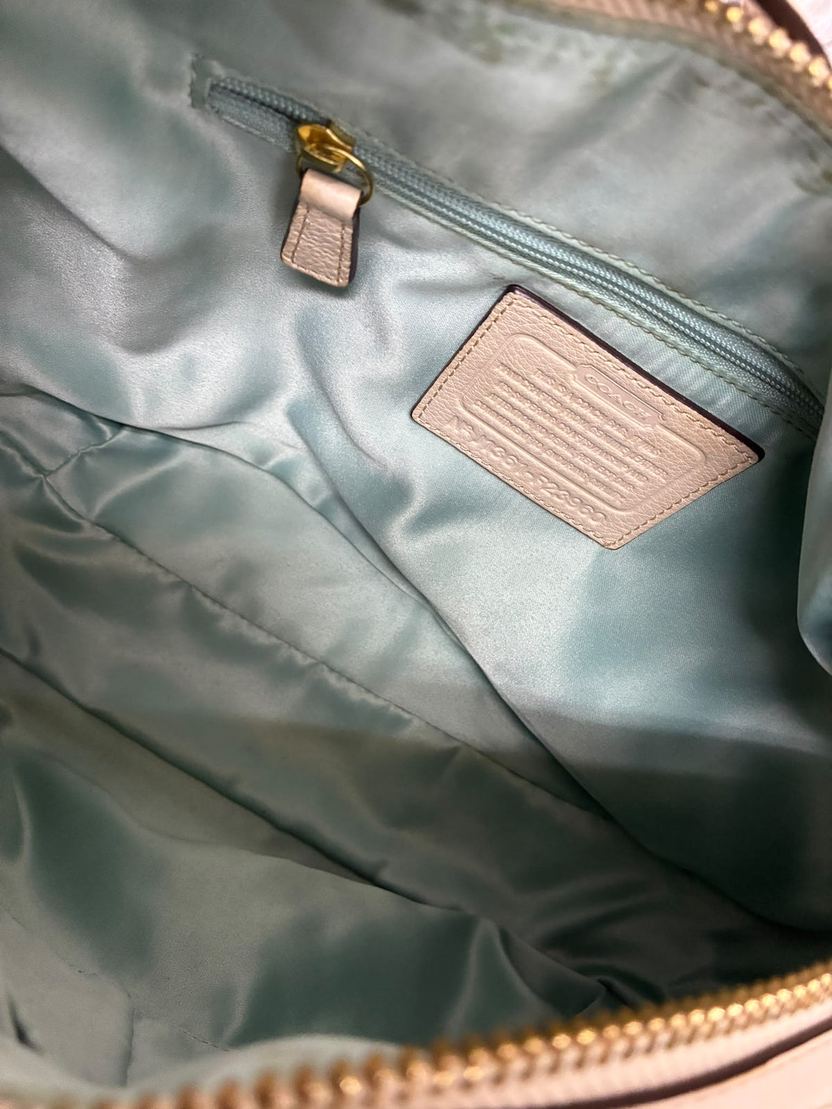 Coach Avery Pearlescent Small Hobo Shoulder Bag