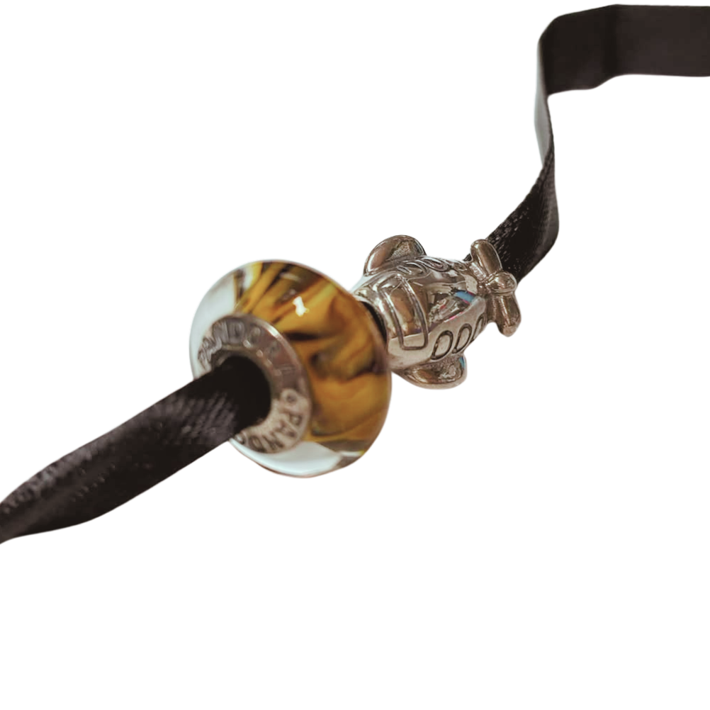 Pandora Charms 2 Pieces