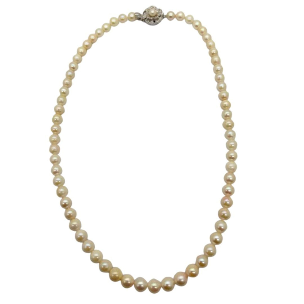 Akoya Pearl Necklace with Silver Clasp