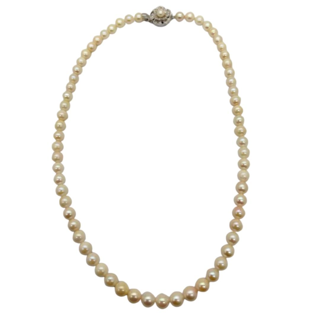 Akoya Pearl Necklace with Silver Clasp