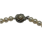Akoya Pearl Necklace with Silver Clasp