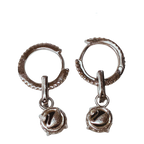 Swarovski Drop Earrings